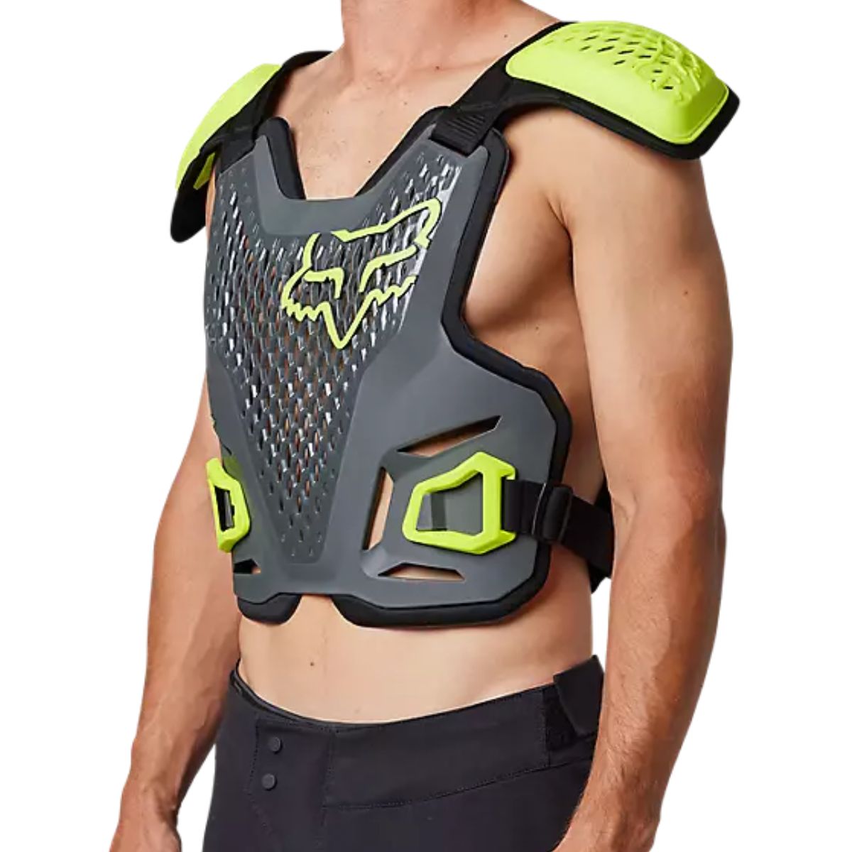 PETO FOX R3 GRIS