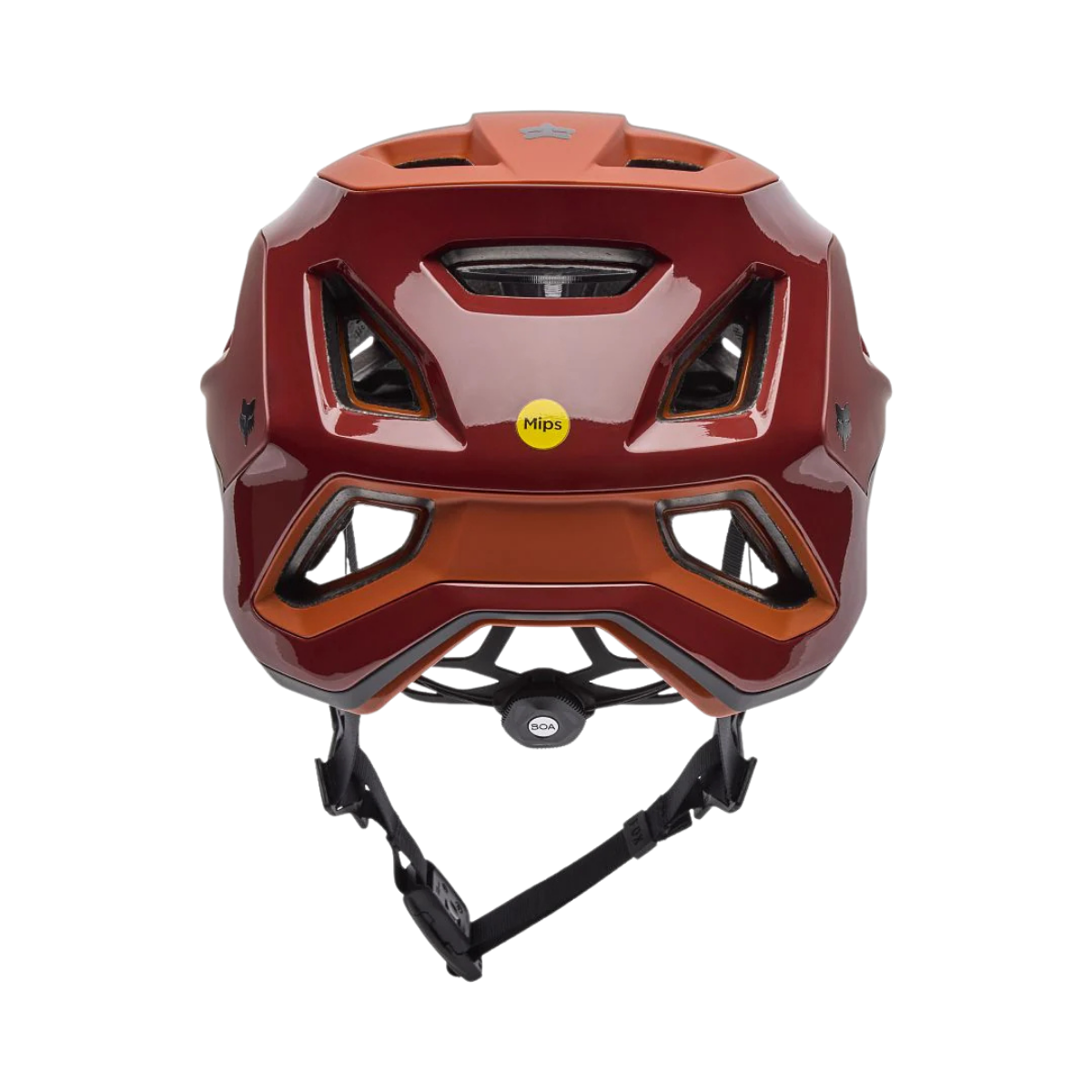CASCO FOX SPEEDFRAME RS PARANOID CAFÉ