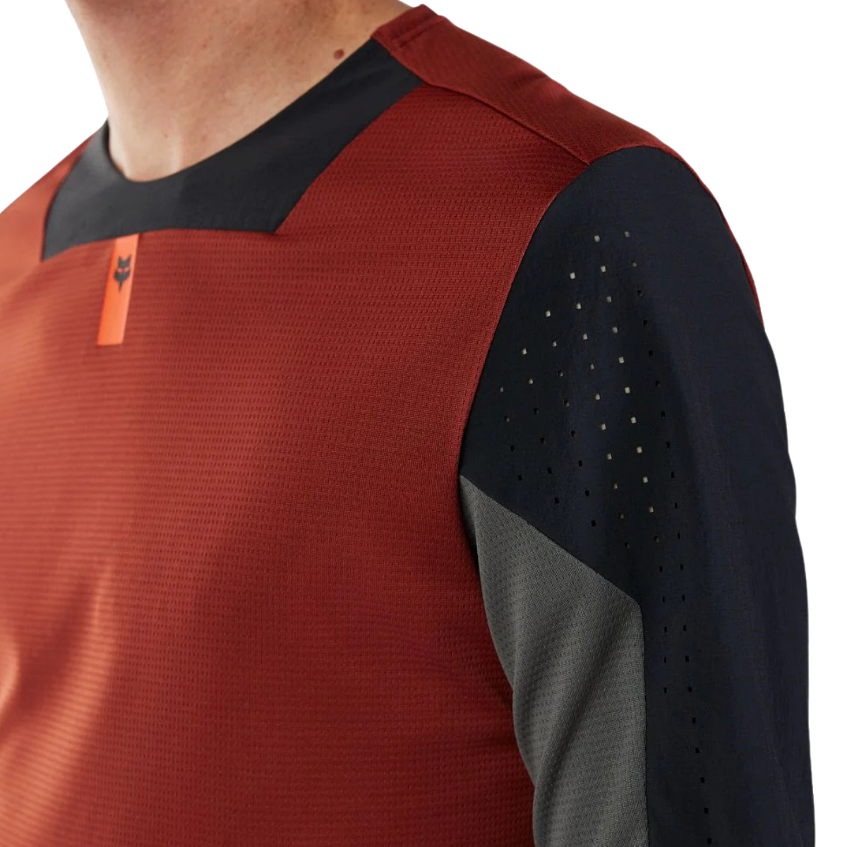 JERSEY FOX DEFEND CAFÉ